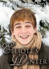 Elliott's Winter (The Elliott Chronicles) - Matt Zachary