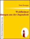 Waldheimat : Erzählungen aus der Jugendzeit (German Edition) - Peter Rosegger