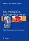 Ileo Meccanico Dell'intestino Tenue: Aspetti Tc E Correlazioni Eco Radiografiche (Italian Edition) - Roberto Di Mizio