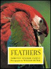 Feathers - Dorothy Hinshaw Patent