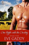 One Night with the Cowboy (Whiskey River Book 2) - Eve Gaddy