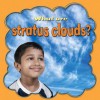 What Are Stratus Clouds? - Molly Aloian