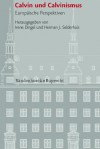 Calvin Und Calvinismus: Europaische Perspektiven - Irene Dingel, Herman J. Selderhuis