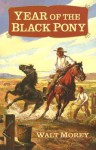 Year of the Black Pony - Walt Morey