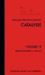 Catalysis - Royal Society of Chemistry, Ian Metcalfe, Y Sugi, G Groppi, R Sheldon, Royal Society of Chemistry