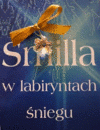 Smilla w labiryntach śniegu - Peter H&oslash;eg