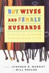 Boy-Wives and Female-Husbands: Studies in African Homosexualities - Will Roscoe