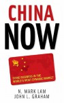 China Now: Doing Business in the World's Most Dynamic Market - N. Mark Lam, John L. Graham