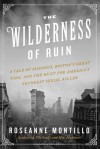 The Wilderness of Ruin - Roseanne Montillo