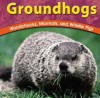 Groundhogs: Woodchucks, Marmots, and Whistle Pigs (Wild World of Animals (Bridgestone)) - Adele Richardson