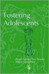 Fostering Adolescents: Research Methods on Placement Success - Elaine Farmer, Sue Moyers, Jo Lipscombe
