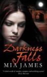 Darkness Falls (Ravenwood, #2) - Mia James