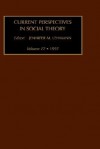 Current Perspectives in Social Theory: Vol 17 - Jennifer M. Lehmann