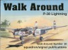 Lockheed P-38 Lightning - Walk Around No. 30 - Larry Davis