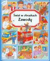 Zawody. Świat w obrazkach - Émilie Beaumont