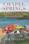 Chapel Springs Survival - Ane Mulligan