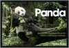 Panda: An Intimate Portrait of One of the World's Most Elusive Animals - Heather Angel