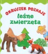 Okruszek poznaje leśne zwierzęta - Anna Wiśniewska