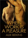 When Work Is a Pleasure - Alix Bekins