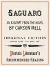 "Saguaro" (Excerpt) (Electric Literature's Recommended Reading) - Carson Mell, Benjamin Samuel