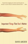 Important Things That Don't Matter: A Novel - David Amsden