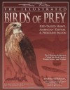 The Illustrated Birds of Prey: Red-Tailed Hawk, American Kestrel & Peregrine Falcon: The Ultimate Reference Guide for Bird Lovers, Woodcarvers, and Artists (The Denny Rogers Visual Reference series) - Denny Rogers, Lori Corbett, John Strutt