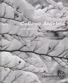 College Algrbra with Modeling and Visualization (Custom Edition for MTH111, Chemeketa Community College) - Gary K. Rockswold