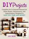 DIY Projects: Complete Do-It-Yourself Manual For Home Repair, Maintenance, and Improvement, Designed to Save You Time and Money (DIY Projects, DIY household hacks, DIY cleaning and organizing) - Lily Ross