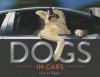 Dogs in Cars - Lara Jo Regan