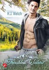 Troubled Waters (Pine Cove 2) - H. J. Welch