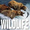 Wildlife - Valeria Manferto De Fabianis, Valeria Manferto