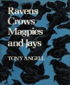 Ravens, Crows, Magpies, and Jays - Tony Angell, J.F. Lansdowne