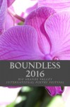 Boundless 2016: The Anthology of the Rio Grande Valley International Poetry Festival - Odilia Galvan Rodriguez, Laura Peña, Katherine Hoerth, Sharon Elliot, Kelly Ann Ellis, Edward Vidaurre, Daniel Garcia Ordaz, Gina Marie Garcia