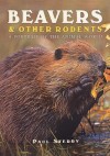 Beavers & Other Rodents: A Portrait of the Animal World - Paul Sterry