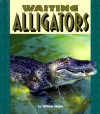 Waiting Alligators - William Muñoz