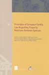 Principles of European Family Law Regarding Property Relations Between Spouses - Katharina Boele-Woelki, Frederique Ferrand, Cristina Gonzalez-Beilfuss, Nigel Lowe, Dieter Martiny, Walter Pintens, Maarit Jantera-Jareborg