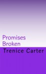 Promises Broken: The Quinn Sisters - Trenice Carter