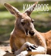 Kangaroos - Melissa Gish