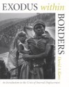 Exodus Within Borders - David A. Korn