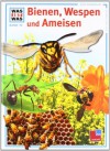 Was ist was?, Bd.19, Wunderwelt der Bienen und Ameisen - Gerd Hartmann, Ronald N. Rood, Anne-Lies Ihme, Manfred Kostka