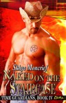 Naked on the Staircase (Time Guardians) - Skhye Moncrief