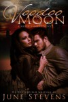 Voodoo Moon: A Moon Sisters Novel - June Stevens, D.J. Westerfield