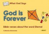 God Is Forever: Bible Verses about the Word Eternal - Catherine MacKenzie