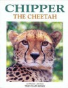 Chipper The Cheetah - Jan Davis