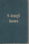 W dżungli Borneo - Eric Lundqvist