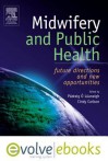 Midwifery and Public Health - Text and E-Book Package: Future Directions and New Opportunities - Padraig O'Luanaigh, Cindy Carlson