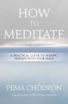 How to Meditate: A Practical Guide to Making Friends with Your Mind - Pema Chödrön, Pema Cheodreon