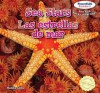 Sea Stars / Las Estrellas de Mar - Maddie Gibbs, Eida De La Vega