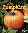 Pumpkins - Robin Nelson