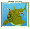 Whale Sharks - Sarah Palmer